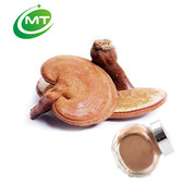 ISO factory high quality reishi mushroom extract