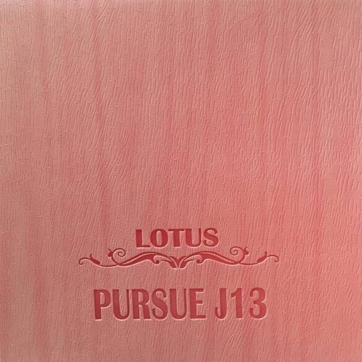 Persue J13 Pink Leather Cover NGXYH05